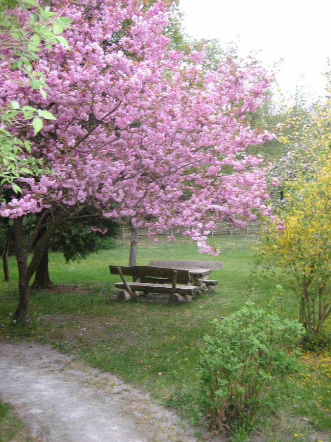 Ferienwohnung Ostseewald Rostock Esterno foto